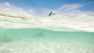 Cosmoledo: охота за GT — как готовят снасти на атолле