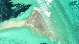 Cosmoledo Atoll — fly fishing с заботой о рифах и смыслами защиты природы