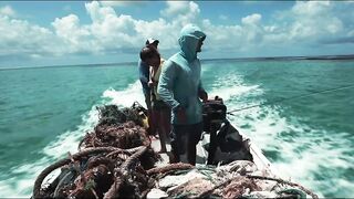 Cosmoledo Atoll — fly fishing с заботой о рифах и смыслами защиты природы