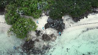 Cosmoledo Atoll — fly fishing с заботой о рифах и смыслами защиты природы