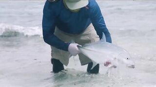 Astove Atoll — GT, bonefish и виды Сейшел на одной рыбалке