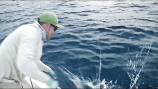 Astove Atoll — GT, bonefish и виды Сейшел на одной рыбалке