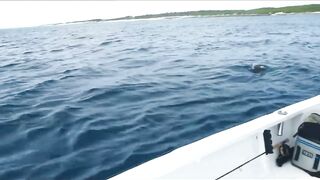 Astove Atoll — GT, bonefish и виды Сейшел на одной рыбалке