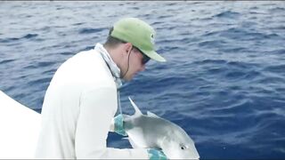 Astove Atoll — GT, bonefish и виды Сейшел на одной рыбалке