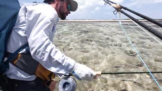 Astove Atoll 2024: fly fishing и плоские отмели, где тень GT режет волну