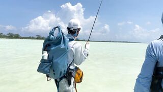Astove Atoll 2024: fly fishing и плоские отмели, где тень GT режет волну