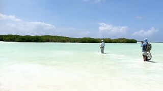 Astove Atoll 2024: fly fishing и плоские отмели, где тень GT режет волну