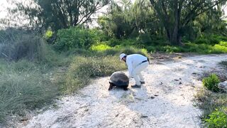 Astove Atoll 2024: fly fishing и плоские отмели, где тень GT режет волну