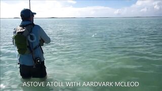 Astove Atoll — флай на GT с Aardvark McLeod, течения и лидеры