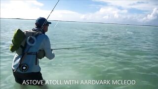 Astove Atoll — флай на GT с Aardvark McLeod, течения и лидеры