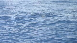 Astove Atoll — плоские отмели, GT и приливные коридоры