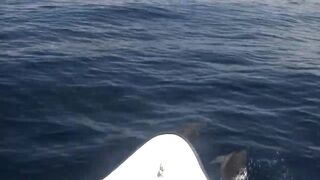 Astove Atoll — плоские отмели, GT и приливные коридоры