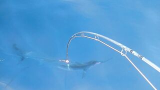 Astove Atoll — плоские отмели, GT и приливные коридоры