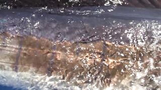 Astove Atoll — плоские отмели, GT и приливные коридоры