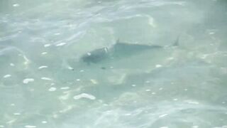 Astove Atoll — плоские отмели, GT и приливные коридоры