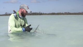 Astove Atoll — плоские отмели, GT и приливные коридоры