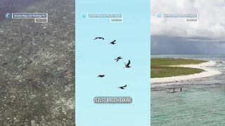 Farquhar, Seychelles - морская рыбалка на атолле мечты без лишних слов