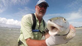 Фаркуар, экстремальный солтфлай – удалённость и чистая адреналина