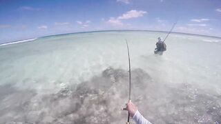 Фаркуар, экстремальный солтфлай – удалённость и чистая адреналина