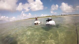 Фаркуар, экстремальный солтфлай – удалённость и чистая адреналина