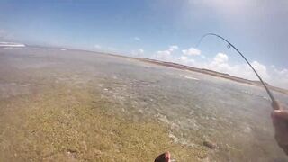 Фаркуар, экстремальный солтфлай – удалённость и чистая адреналина