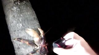 Фаркуар, экстремальный солтфлай – удалённость и чистая адреналина