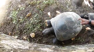 Фаркуар, экстремальный солтфлай – удалённость и чистая адреналина