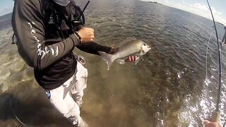 Фаркуар, экстремальный солтфлай – удалённость и чистая адреналина