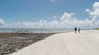 Farquhar, Seychelles — флай-фишинг на GT и работа по отмелям