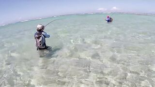 Farquhar, Seychelles — флай-фишинг на GT и работа по отмелям