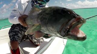 Farquhar, Seychelles — флай-фишинг на GT и работа по отмелям