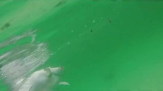 Farquhar, Seychelles — флай-фишинг на GT и работа по отмелям