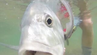 Farquhar, Seychelles — флай-фишинг на GT и работа по отмелям