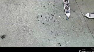 Farquhar Atoll — One Minute Monday о клеве и приливах