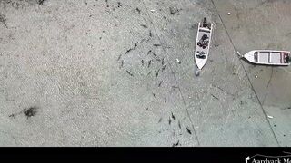 Farquhar Atoll — One Minute Monday о клеве и приливах