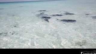 Farquhar Atoll — One Minute Monday о клеве и приливах