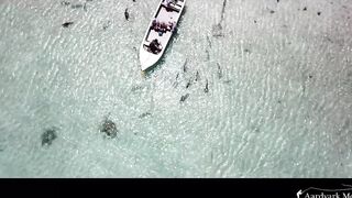 Farquhar Atoll — One Minute Monday о клеве и приливах