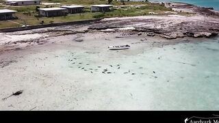 Farquhar Atoll — One Minute Monday о клеве и приливах