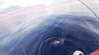 Rodrigues Island - морская рыбалка на ветреном краю Индийского океана