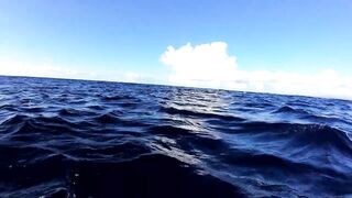 Rodrigues Island - морская рыбалка на ветреном краю Индийского океана