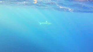 Rodrigues Island - морская рыбалка на ветреном краю Индийского океана