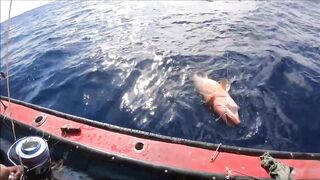 Rodrigues Island — рыболовный выезд в марте: рифы и банки