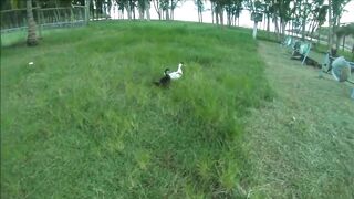 Rodrigues Island — рыболовный выезд в марте: рифы и банки