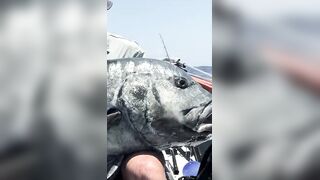 Rodrigues Expedition 24: monster GT, попперы, джиг и хлёсткие проводки