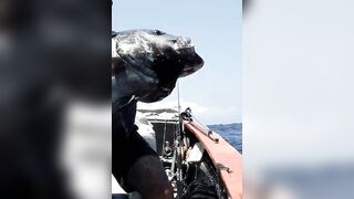 Rodrigues Expedition 24: monster GT, попперы, джиг и хлёсткие проводки