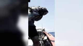 Rodrigues Expedition 24: monster GT, попперы, джиг и хлёсткие проводки