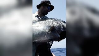 Rodrigues Expedition 24: monster GT, попперы, джиг и хлёсткие проводки