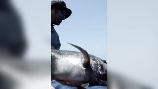 Rodrigues Expedition 24: monster GT, попперы, джиг и хлёсткие проводки