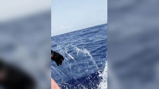 Rodrigues Expedition 24: monster GT, попперы, джиг и хлёсткие проводки