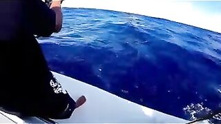 Rodrigues big game: выход за бониты, марлинные надежды и крепкие узлы